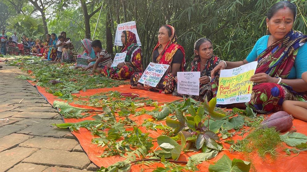 ব্যতিক্রমী ‘খোটা শাকের’ মেলা