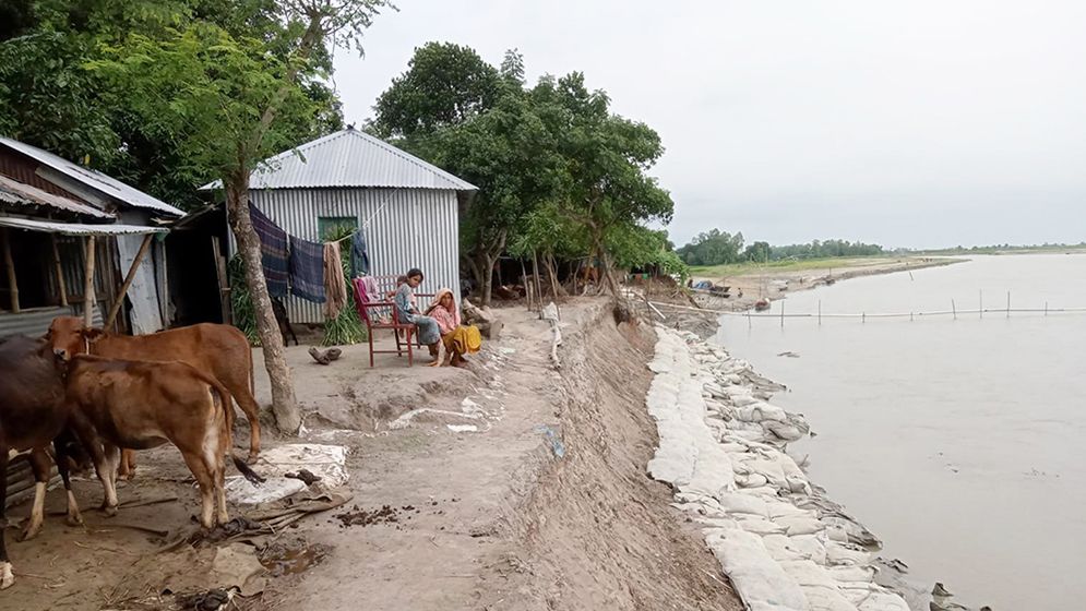 সোনাতলায় যমুনার অব্যাহত ভাঙনে দিশেহারা নদী পারের মানুষ