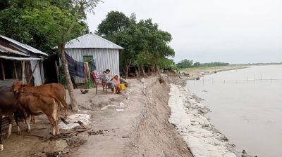 সোনাতলায় যমুনার অব্যাহত ভাঙনে দিশেহারা নদী পারের মানুষ