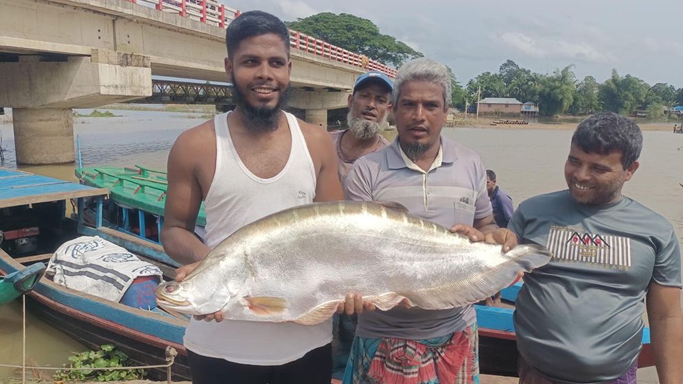 মহালছড়িতে ধরা পড়ল ১২ কেজি ওজনের চিতল মাছ