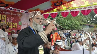 লগি-বৈঠার তাণ্ডবের প্রতিশোধ নিতেই ৫ আগস্টের সৃষ্টি: সাঈদীপুত্র