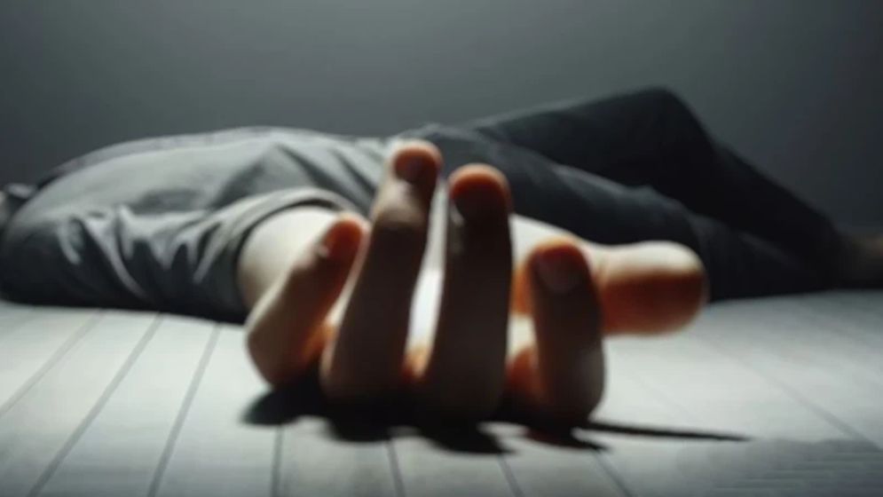 ঢাকা ও কুষ্টিয়ার মিরপুরে ২ যুবককে পিটিয়ে হত্যা