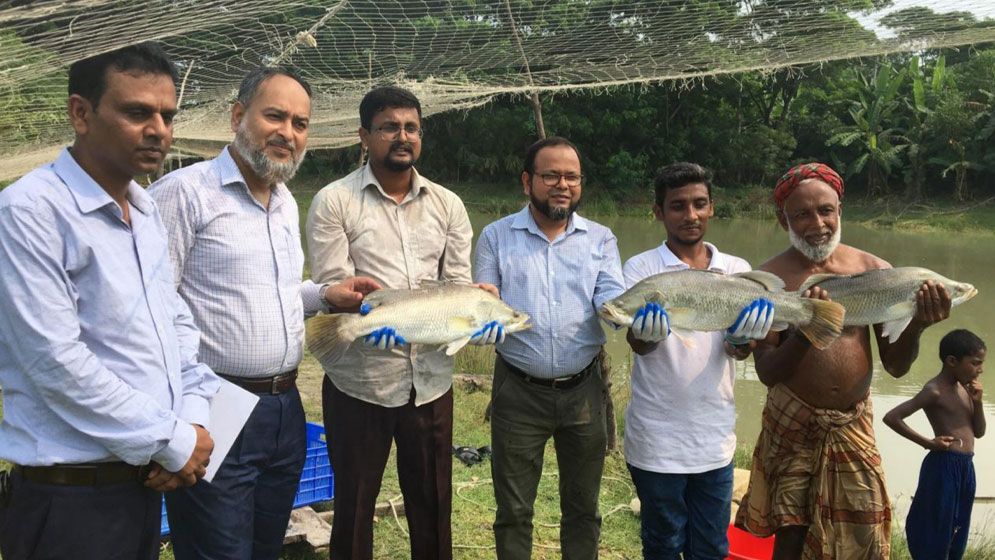 নতুন প্রযুক্তি উদ্ভাবন: উপকূলে কোরাল মাছ চাষে বিপুল সম্ভাবনা