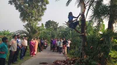 যশোরে খেজুর রস সংগ্রহ কার্যক্রমের উদ্বোধন