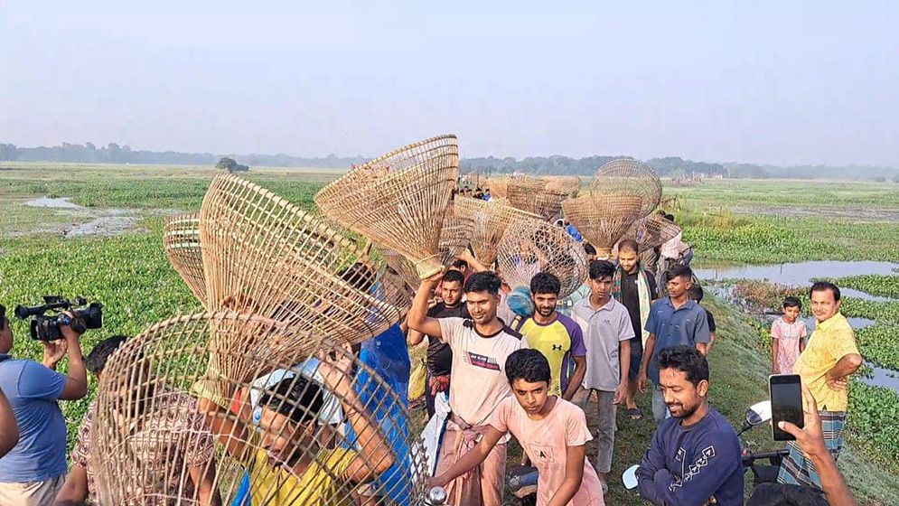 ফরিদপুরে পলো বাওয়া উৎসবে মানুষের ঢল