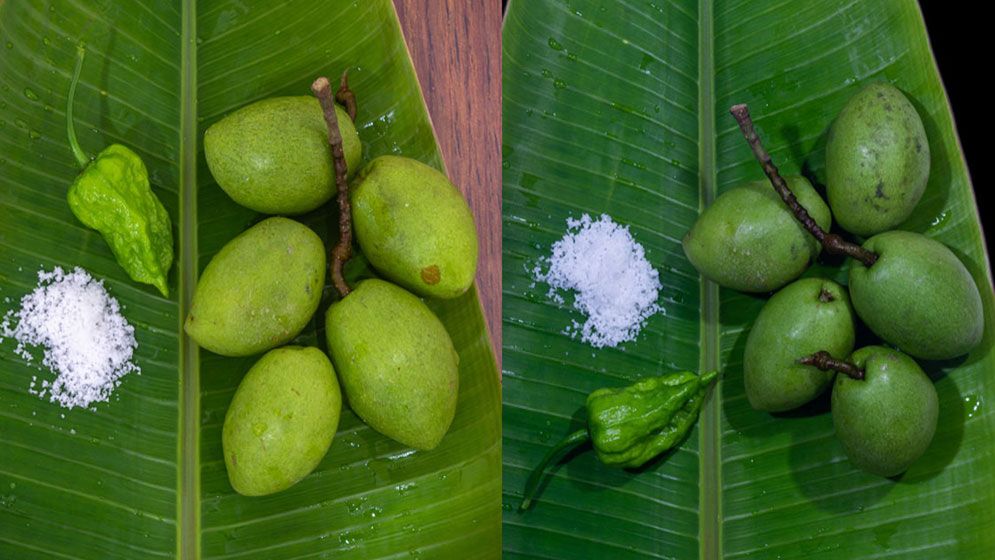 ঝামেলা ছাড়াই যেভাবে বানাবেন জলপাইয়ের টক-মিষ্টি আচার