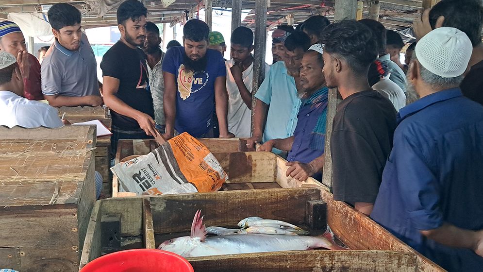 চাঁদপুরের ইলিশের বাজার সরগরম