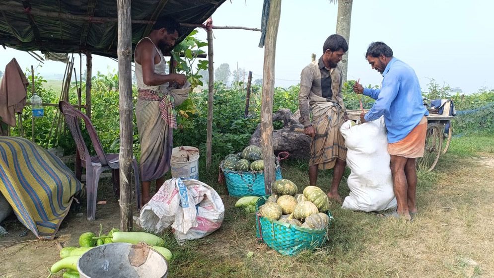 শীতকালীন সবজি চাষে ব্যস্ত আনোয়ারার কৃষকরা