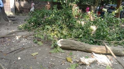 পাবনায় বিএনপি নেতার বিরুদ্ধে জমি দখলচষ্টোর অভিযোগ