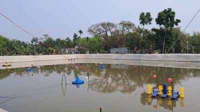 মাছচাষে এআই পদ্ধতি-সেন্সর ভিত্তিক ডিভাইসের সফল ব্যবহার