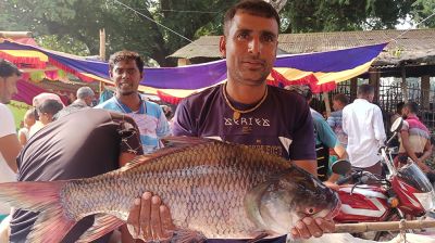 এক দিনেই কোটি টাকার মাছ কেনাবেচা!