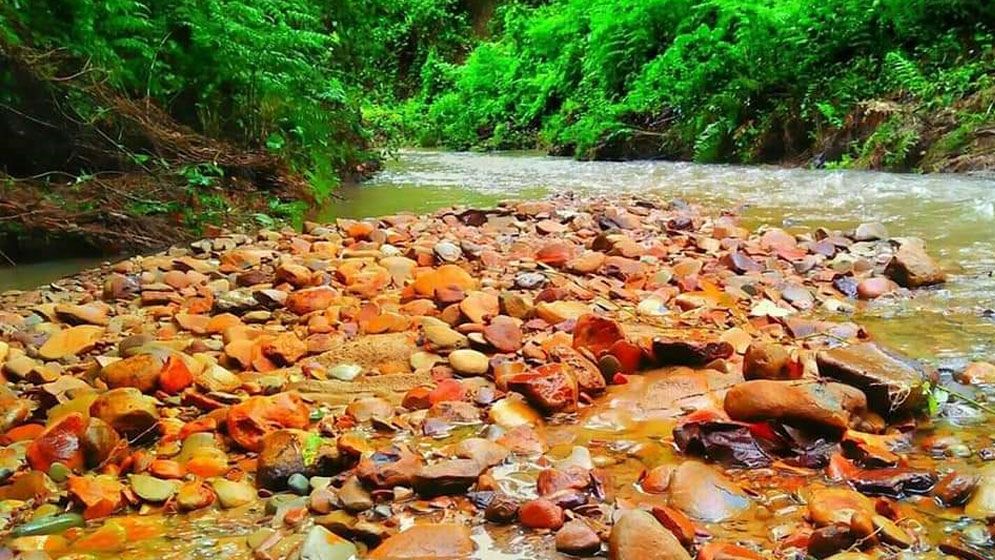 পাখিদের স্বর্গরাজ্য ‘হাজারিখিল অভয়ারণ্য’