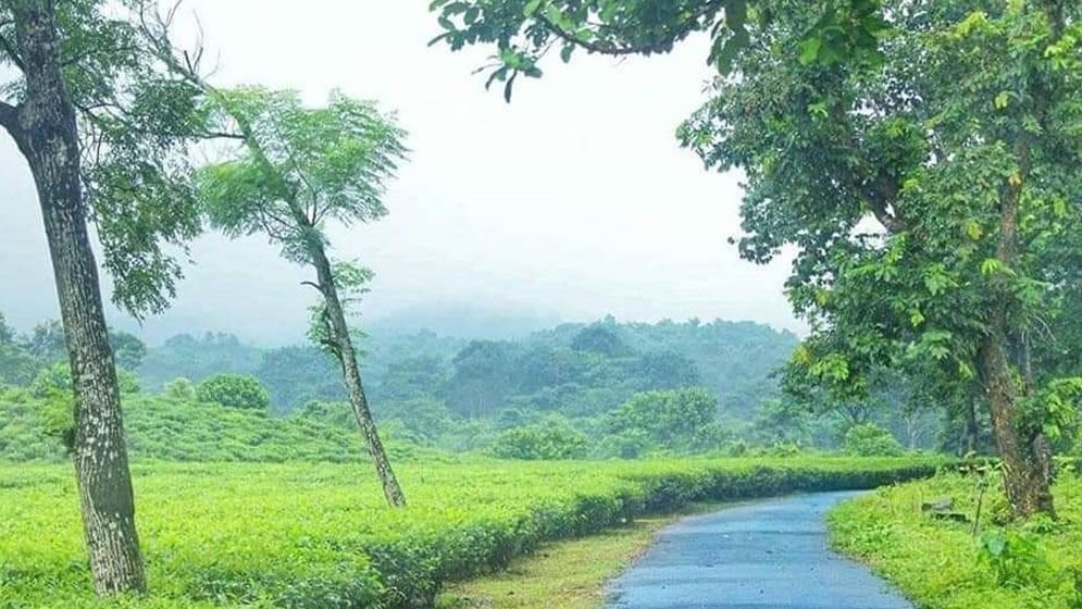 পাখিদের স্বর্গরাজ্য ‘হাজারিখিল অভয়ারণ্য’