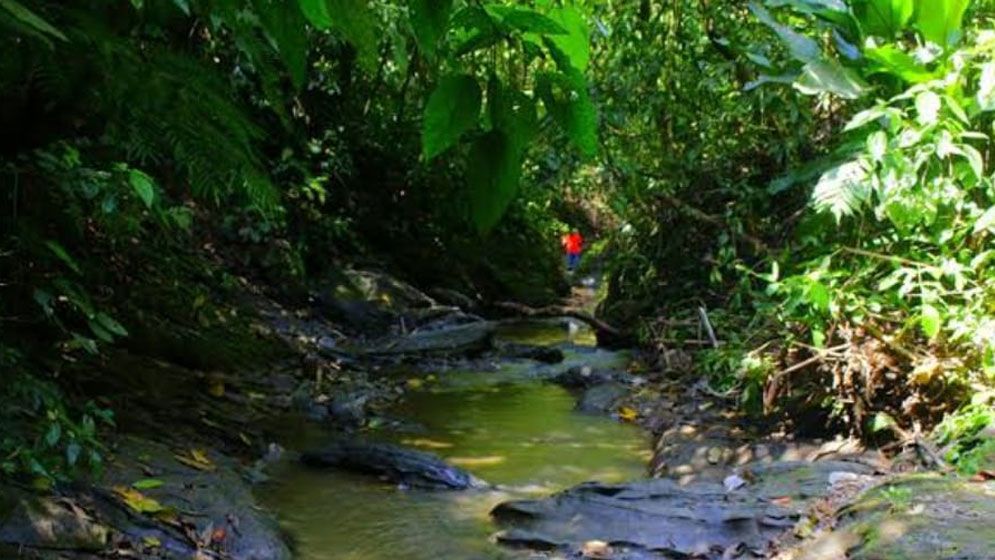 পাখিদের স্বর্গরাজ্য ‘হাজারিখিল অভয়ারণ্য’