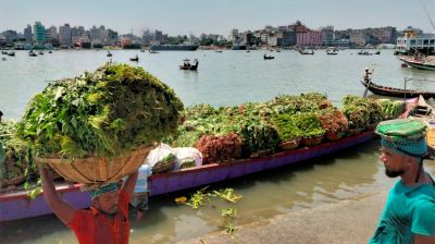 সরবরাহ বাড়ায় কমছে শাক-সবজির দাম