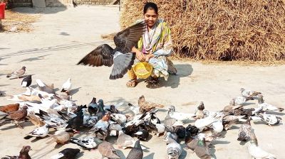 শখের বশে কবুতর পালনে বৈশাখী এখন স্বাবলম্বী