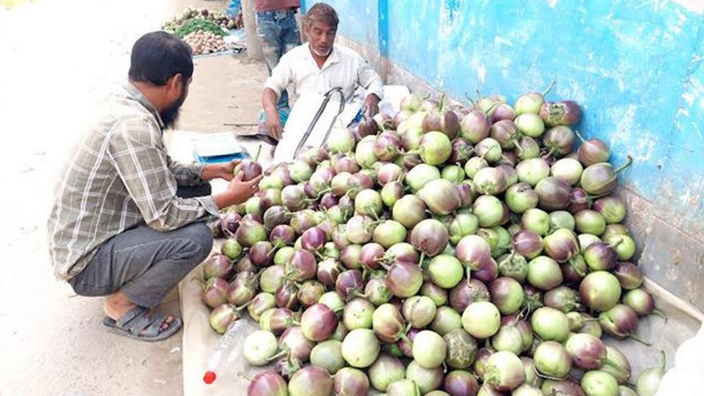 বেগুন ১০ টাকা কেজি