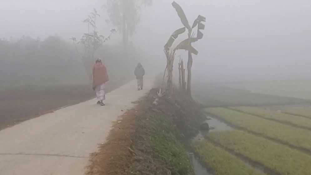 কয়টি শৈত্যপ্রবাহ আসবে, জানাল আবহাওয়া অধিদপ্তর