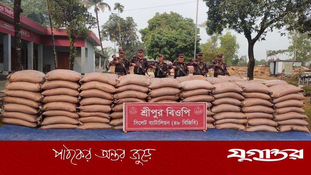 সিলেট সীমান্তে বিজিবির অভিযানে অর্ধ কোটি টাকার চোরাই পণ্য জব্দ