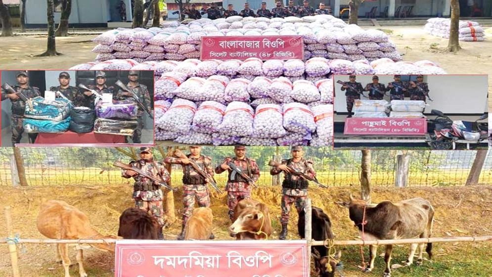 সিলেটে দেড় কোটি টাকার ভারতীয় চোরাই পণ্য জব্দ