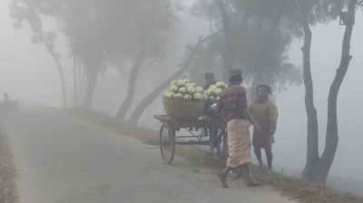 ৩ জেলায় মৃদু শৈত্যপ্রবাহ