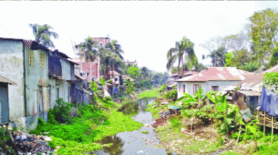 দশমিনায় শতাধিক খাল দখল