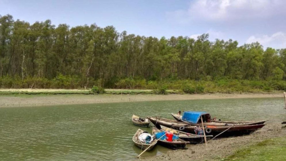 চর কুকরি-মুকরি হাতছানি দিয়ে ডাকছে