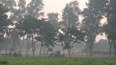 ৬ দিন পর শৈত্যপ্রবাহ থেকে মুক্ত পঞ্চগড়