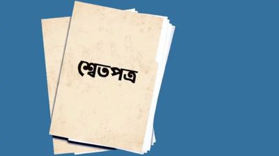 জনগণকে উচ্চতর প্রবৃদ্ধির কাল্পনিক গল্প শোনানো হতো: শ্বেতপত্র প্রণয়ন কমিটি