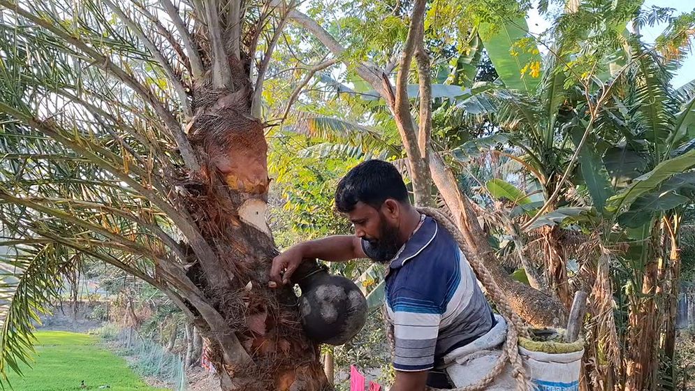 শিকল দিয়ে তালা ঝুলিয়েও রক্ষা নেই রসের হাঁড়ির