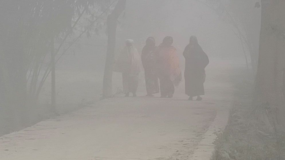 জানুয়ারিতে কয়টি শৈত্যপ্রবাহ, জানালেন আবহাওয়াবিদ