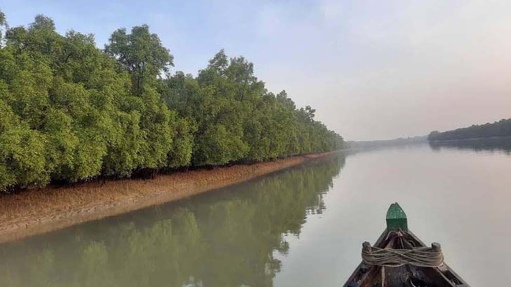 সুন্দরবনে থার্টি ফার্স্ট নাইট পালন করছে বিদেশি ৩৮ ইকোট্যুরিস্ট