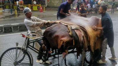 হাজারীবাগে যত্রতত্র পশু জবাই, ঝুঁকিতে জনস্বাস্থ্য