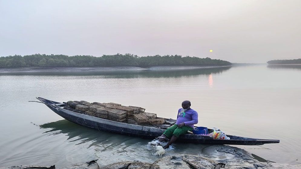 সুন্দরবনে কাঁকড়া ধরায় ২ মাসের নিষেধাজ্ঞা শুরু