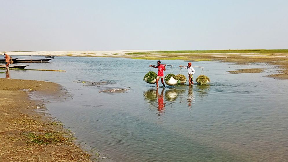 বগুড়া সারিয়াকান্দির যমুনা নদীতে নাব্য সংকট