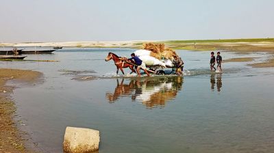 যমুনা নদীতে নৌকার পরিবর্তে ঘোড়ার গাড়ি!