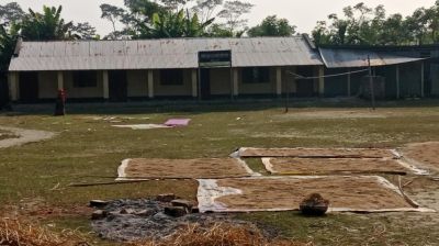 ১৪ বছর বেতন নেই, বন্ধ হয়ে গেল মেঘনার পাড়ের স্কুলটি