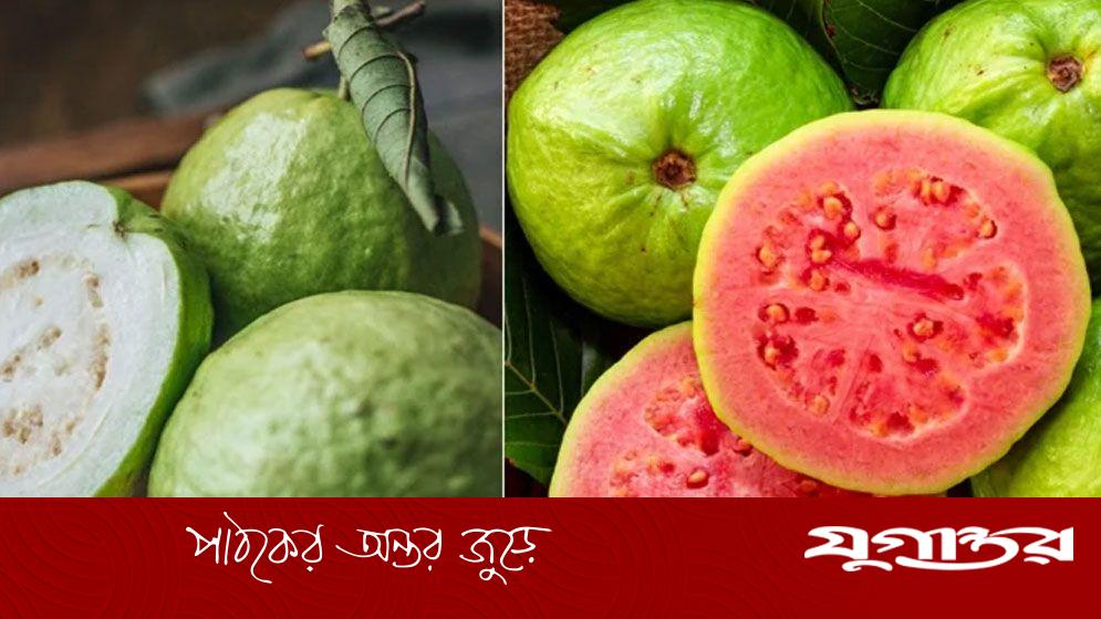 কোন রঙের পেয়ারা শরীরের জন্য বেশি উপকারী?