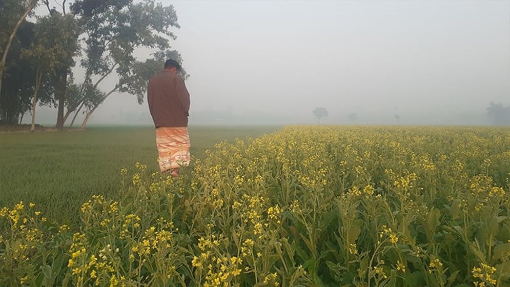 যেসব বিভাগে বৃষ্টি হতে পারে আজ