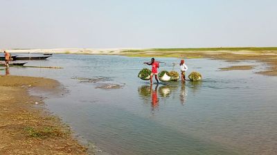 যমুনা, ব্রহ্মপুত্র, মেঘনা ও নরসুন্দা নদীতে চরম নাব্য সংকট, বন্ধ যাতায়াত পণ্য পরিবহণ