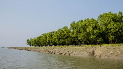 হুমকির মুখে নিঝুম দ্বীপের জীববৈচিত্র্য