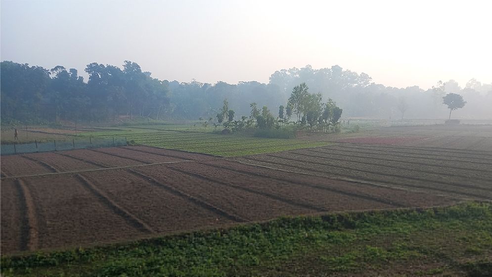 পঞ্চগড়ে তাপমাত্রা বেড়েছে, কমেনি শীতের দুর্ভোগ