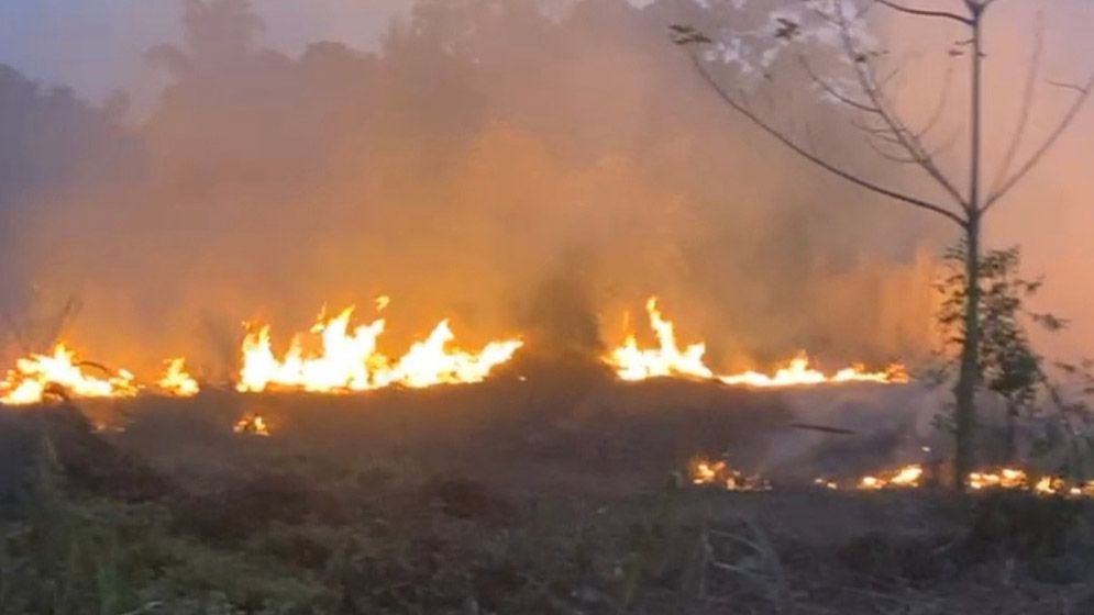 গোয়ালন্দে সাবেক এমপির ভিটায় রহস্যজনক আগুন, এলাকায় আতঙ্ক