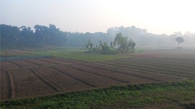 পঞ্চগড়ে তাপমাত্রা বেড়েছে, কমেনি শীতের দুর্ভোগ