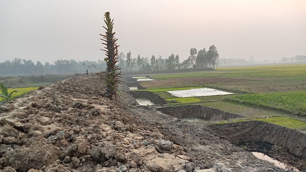 জোর করে ফসলি জমির মাটি কেটে রাস্তা সংস্কার