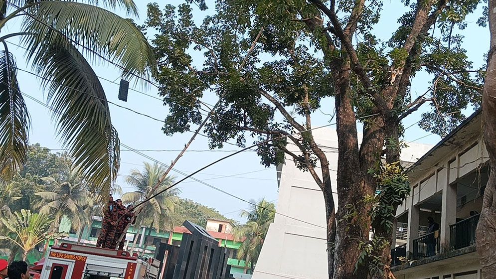 মগডালে আটকেপড়া বিড়াল উদ্ধার করে খুশি ফায়ার সার্ভিস