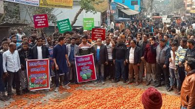 নাটোরে মহাসড়কে টমেটো ফেলে চাষিদের অবরোধ