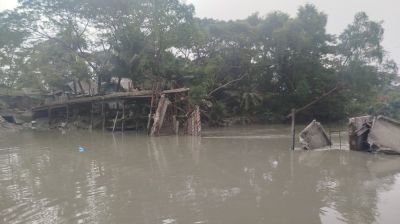 তালতলীতে ব্রিজ ভেঙে খালে