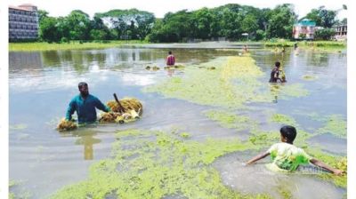 শতকোটি টাকা পানিতে