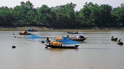 সুন্দরবনে ১৫ জেলেকে তুলে নিয়ে নির্যাতন, ৪৫ লাখ টাকা দাবি